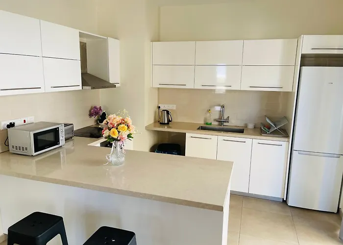 Center Cozy * 파포스